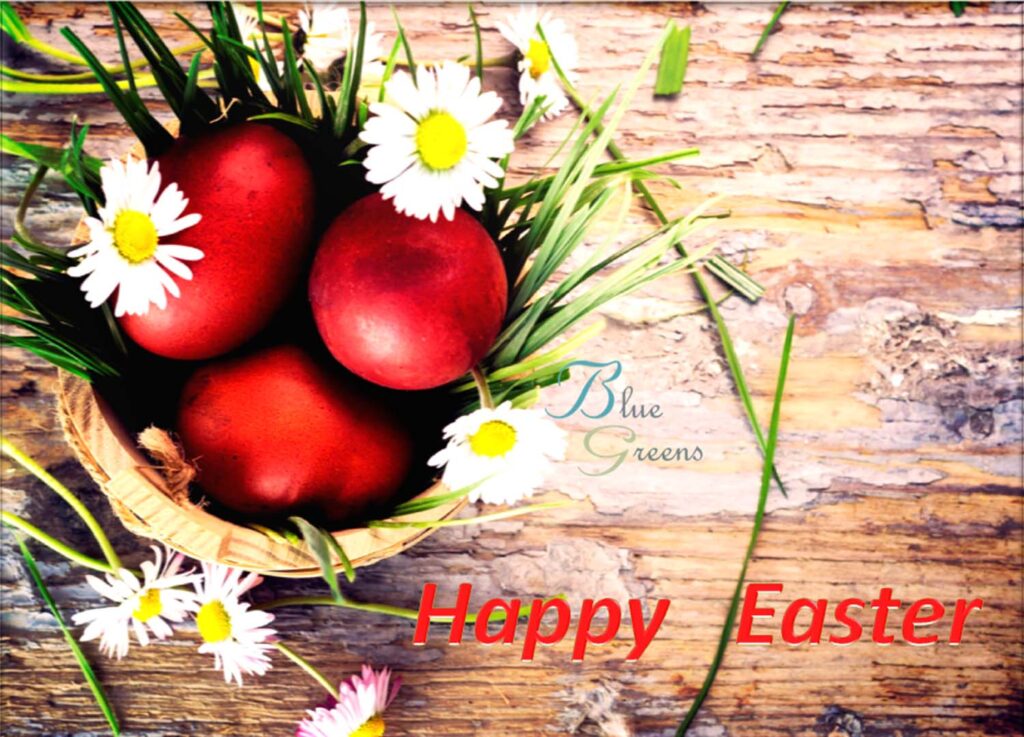 Read more about the article We wish you a happy Joyfull Easter <br>The Blue Greens Familly